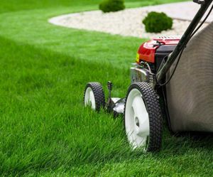 Lawn Maintenance