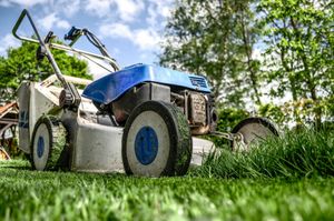 Mowing & Trimming